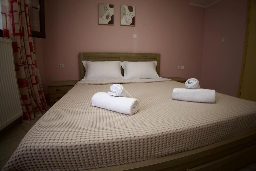Mountain Harmony Home Konitsa Ngoại thất bức ảnh